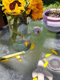 High angle view of yellow flower in pot