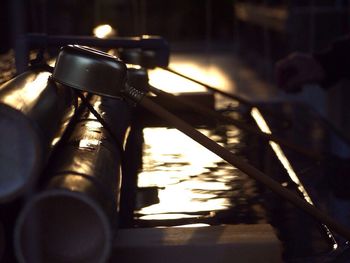 Close-up of plant against blurred background