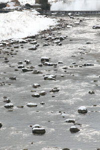 View of crab on snow covered land