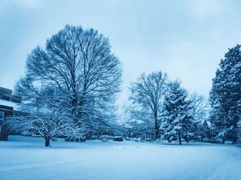 Bare trees on snow covered field against sky