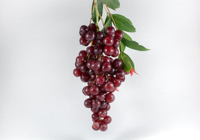 Close-up of grapes against white background