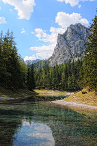 Scenic view of lake in forest against sky