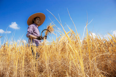 Full frame shot of crops on field against sky