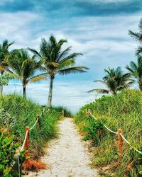 Footpath passing through landscape