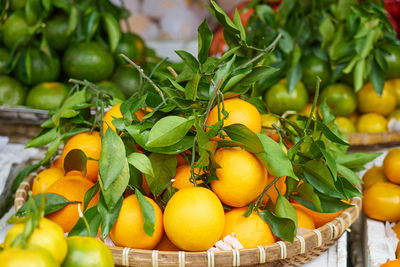Close-up of tomatoes