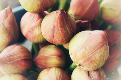 Full frame shot of onions