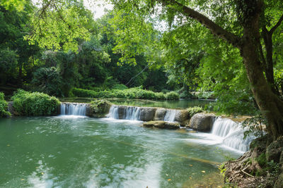 Scenic view of waterfall in forest