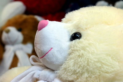 Close-up of white stuffed toy