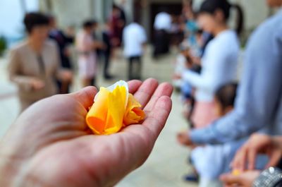 Close-up of hand holding red rose