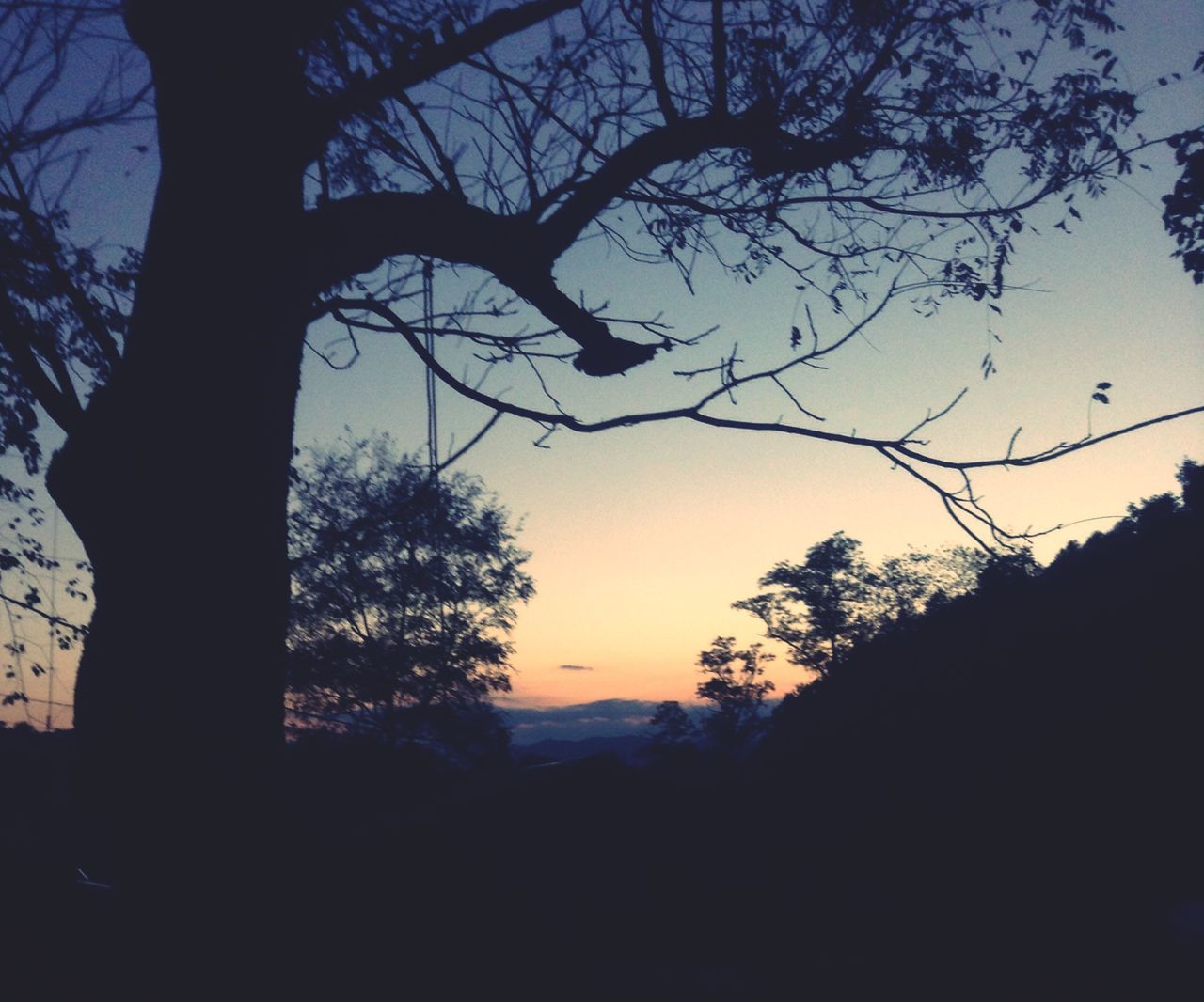 silhouette, tree, sunset, tranquility, bare tree, tranquil scene, scenics, branch, beauty in nature, sky, nature, dusk, landscape, dark, outline, idyllic, low angle view, non-urban scene, outdoors, mountain