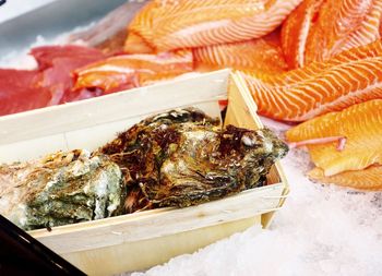 Oysters and salmon on ice at market for sale