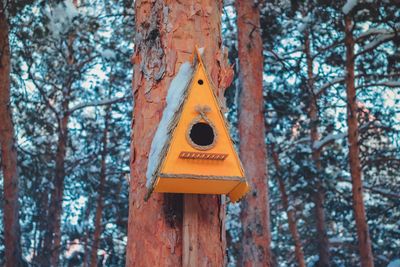 Close-up of birdhouse on tree trunk