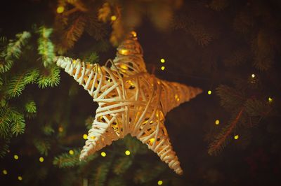 Close-up of star shape decoration hanging from christmas tree