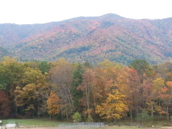 Scenic view of mountains