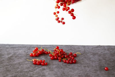 Close-up of red berries against white background