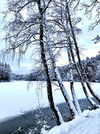 Bare trees on frozen lake against sky