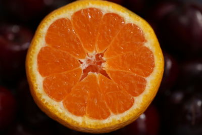 Close-up of orange