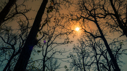 Low angle view of silhouette bare trees against sky during sunset