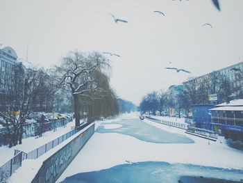 Snow covered landscape