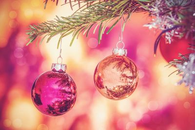 Close-up of christmas decorations hanging on tree