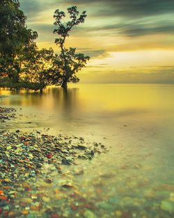 Scenic view of lake against sky at sunset