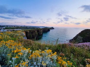 Summer , flowers and sea air