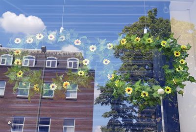 Plants growing on building against sky