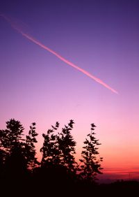 Low angle view of silhouette trees against sky at sunset