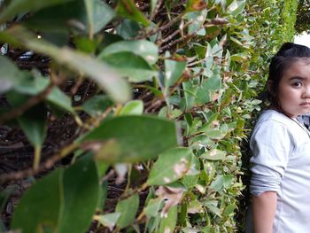 Low section of woman with leaves on plant