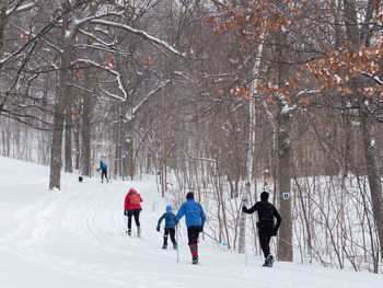 Rear view of people walking on snow covered land