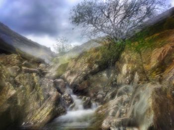 Scenic view of waterfall in forest