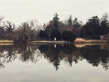 Reflection of trees in lake