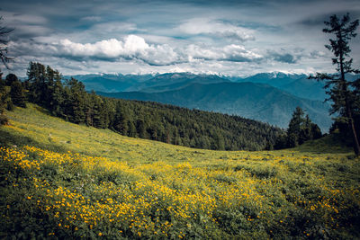 Scenic view of landscape and mountains against sky