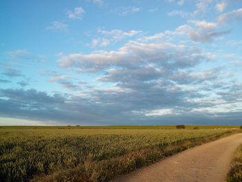 Scenic view of field against cloudy sky