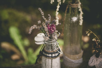 Close-up of flowers in vase