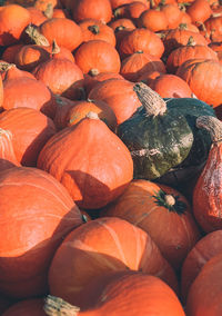 Full frame shot of pumpkins at market stall