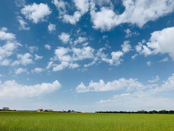 Scenic view of agricultural field against sky