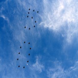 Low angle view of birds flying in sky