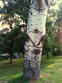 View of tree trunk in park