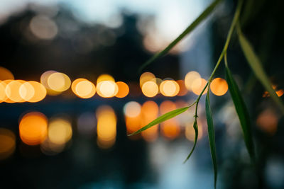 Defocused image of illuminated lights at night