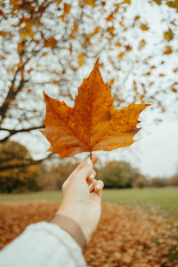 Hand holding big autumn leaf