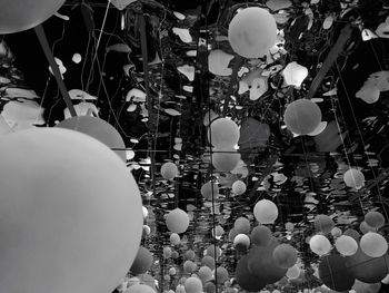 Close-up of balloons hanging at night