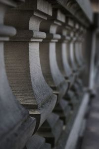 Low section of woman standing in row