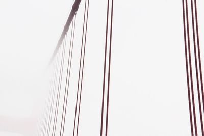 Low angle view of cables against clear sky