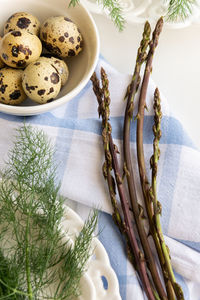 High angle view of eggs on table