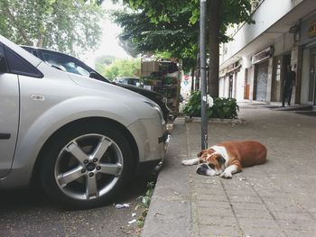 Car on street