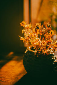 Backlited flowers in vase on the table in sunset time with soft focus