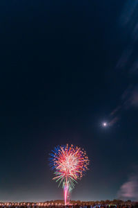 Low angle view of firework display at night