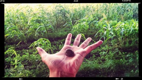 Close-up of human hand