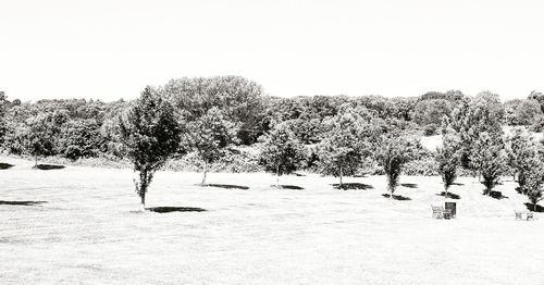 Trees on field against clear sky during winter